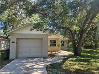 Charming single-story home with a well-manicured lawn and an attached one-car garage at 2708 Lorraine Dr, Leesburg, FL 34748