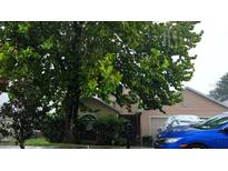 Cozy one-story home featuring a well-kept lawn and attached garage at 1055 Bluegrass Dr, Groveland, FL 34736