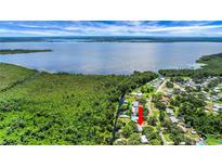 An aerial view of the house, community, and the lake nearby at 5319 Eagles Nest Rd, Fruitland Park, FL 34731