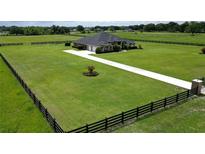 Expansive home showcasing a meticulously maintained lawn and a long driveway at 29222 Can Do Ln, Tavares, FL 32778