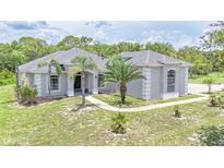 Beautiful single-story home with a lush green lawn and mature palm trees, offering great curb appeal at 32025 Timberlake Dr, Mount Dora, FL 32757