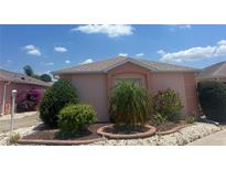 Charming home featuring a well-manicured yard with lush landscaping and vibrant flowers at 627 Nuevo Leon Ln, The Villages, FL 32159