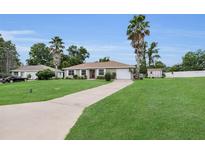 Charming single-story home with a well-manicured lawn, long driveway, and lush palm trees at 6640 Sw 85Th Pl, Ocala, FL 34476