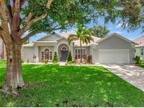 Charming one-story home with a beautiful lawn, mature trees, and well-manicured landscaping at 233 Largovista Dr, Oakland, FL 34787