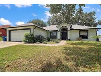 Charming single-story home featuring a well-manicured lawn, landscaping, and an attached two car garage at 6001 Pine Bluff Ln, Mascotte, FL 34753