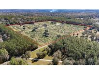 Aerial view of a large property with numerous trees at 16385 Nw 112Th Ct, Reddick, FL 32686