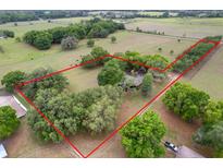 Aerial view showing the expansive property and surrounding landscape with an outlined property line at 3149 Sw 200Th Ave, Dunnellon, FL 34431