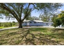 Charming single-story home featuring a beautiful tree-filled front yard and freshly painted siding at 217 S Kelly St, Lake Hamilton, FL 33851