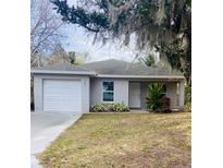 Gray house with a white door, landscaped yard, and attached garage at 520 Green Cir, Fort Meade, FL 33841