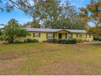Ranch style home with green exterior, landscaping, and spacious yard at 1704 Pineberry Ct, Lakeland, FL 33803