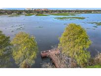 Aerial view of lakefront property with private dock and lush trees at 1130 N Lake Parker Ave # A306, Lakeland, FL 33805