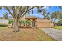 Tan house with a two-car garage and palm trees at 3445 Sleepy Hill Oaks St, Lakeland, FL 33810