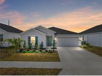 Charming single-story home featuring a well-manicured lawn, a two-car garage, and a neatly landscaped yard at 34575 Shellback St, Leesburg, FL 34788