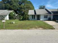 Cozy single-story home with a tidy front yard and a welcoming entrance at 256 Village View Ln, Lakeland, FL 33809