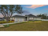 Charming gray house with a well-manicured lawn, a large tree, and a two-car garage at 510 Shanklin Ave, Bartow, FL 33830