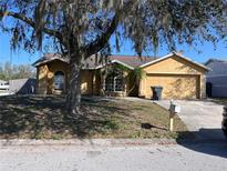 Charming single-story home featuring an attached two-car garage and mature tree in a well-maintained yard at 6528 Shepherd Oaks Pass, Lakeland, FL 33811