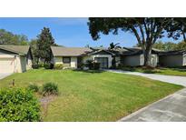 Charming single story home boasting a lush green lawn and meticulously maintained landscaping at 29 Buck Cir, Haines City, FL 33844