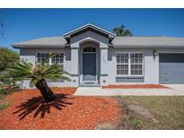 Charming single-story home featuring a front door with sidelights, surrounded by manicured landscaping and a modern color scheme at 3166 Valley Vista Cir, Lakeland, FL 33812