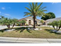 Charming home with a well-manicured lawn featuring mature palm trees and meticulous landscaping at 6059 Condor Dr, Lakeland, FL 33809