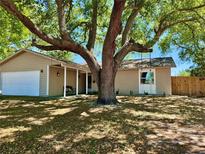 Landscaped front yard featuring a mature tree that offers lots of shade and a freshly painted home at 996 Willowbrook Ct, Winter Haven, FL 33884