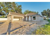 Charming single-story home featuring a two-car garage, covered entry, and light exterior paint at 803 Allison Place, Bartow, FL 33830
