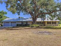 Charming single-story home featuring a metal roof, attached garage, and a large, mature shade tree in the front yard at 2171 Sophia S Pl, Lakeland, FL 33811