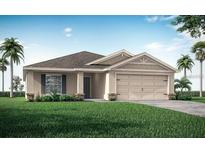 Charming single-story home featuring a two-car garage, well-maintained lawn, and tropical landscaping at 1009 Aruba Ave, Mulberry, FL 33860