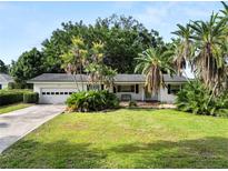 Charming single-story home with a lush green lawn and mature palm trees creating a tropical oasis at 509 Rob Roy St, Lakeland, FL 33813