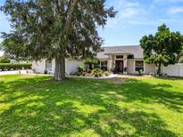 Well-maintained home with a lush green lawn, mature landscaping, and a beautiful shade tree with hanging Spanish moss at 1130 Ewell Rd, Lakeland, FL 33811