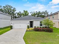 Charming single-story home with well-manicured lawn, attached garage, and inviting curb appeal at 546 Scott Lake Creek Ln, Lakeland, FL 33813