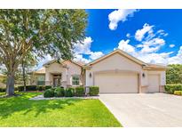 Charming single-story home with well-manicured lawn, beautiful landscaping, and a three-car garage at 9017 Se 119 St, Summerfield, FL 34491
