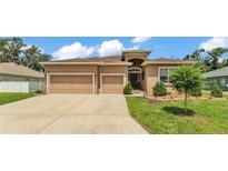 Charming single-story home featuring a well-manicured lawn and a spacious two-car garage at 2932 Blackwater Oaks Dr, Mulberry, FL 33860