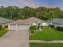 Charming single-story home with a three-car garage, beautiful landscaping, and a well-maintained lawn at 1768 Creekwater Blvd, Port Orange, FL 32128