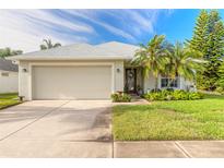 Single-story home with attached garage, landscaping, and palm trees at 1846 Turnbull Lakes Dr, New Smyrna Beach, FL 32168