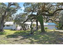 Ranch-style home with a metal roof, large oak trees, and a spacious yard at 384 W Ariel Rd, Edgewater, FL 32141