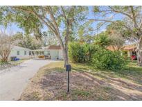 Charming light green house with a spacious front yard and mature trees at 1506 Palmetto St, New Smyrna Beach, FL 32168