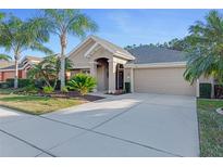 Beige one-story house with palm trees, landscaped yard, and two-car garage at 1763 Weeping Elm Cir, Port Orange, FL 32128