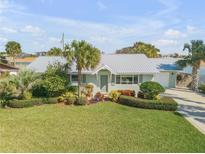 Light green house with metal roof, landscaping, and a large yard at 4611 Doris Dr, New Smyrna Beach, FL 32169