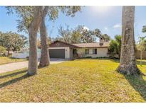 Charming single-story home with a well-maintained lawn and mature trees at 3003 Tamarind Dr, Edgewater, FL 32141