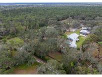 Expansive property with mature trees, home, guest house, pool, and pasture, set against a backdrop of a lush forest at 1715 Fern Park Dr, Port Orange, FL 32128