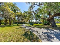 Sprawling property featuring mature trees, lush lawns and a long driveway leading to multiple residences at 191 Howes St, Oak Hill, FL 32759