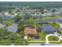 Expansive aerial view of a residential community featuring beautiful homes and a serene lake, surrounded by lush greenery and mature trees at 6093 Sabal Creek Blvd, Port Orange, FL 32128