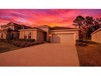 Charming one-story home features a well-manicured lawn and a two-car garage against a striking sunset backdrop at 3963 Willowbrook Dr, Edgewater, FL 32141