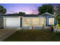 Charming single-story home with a well-manicured lawn and a screened lanai, perfect for enjoying the outdoors at 2325 Lime Tree Dr, Edgewater, FL 32141