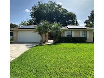 Charming single-story home featuring a manicured lawn, complemented by tropical palm trees and solar panels at 1743 Jacobs Rd, South Daytona, FL 32119
