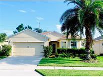 Charming single-story home with a lush front yard and a well-maintained lawn at 2672 Star Coral Ln, New Smyrna Beach, FL 32168