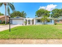 Charming single-story home with a well-manicured lawn, mature trees, and a welcoming entrance at 3626 Donna St, Port Orange, FL 32129