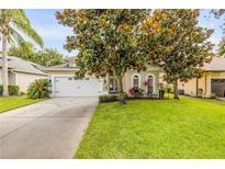 Charming single-story home with a well-maintained lawn, beautiful trees, and a two-car garage at 850 Wingate Trl, Port Orange, FL 32128