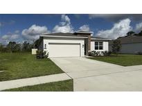 Beautiful one-story home features a well-manicured lawn, a two-car garage, and a welcoming entrance with stone accents at 3919 Willowbrook Dr, Edgewater, FL 32141