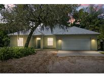 Charming one-story home featuring a metal roof, stucco exterior, two-car garage, mature trees, and lush landscaping at 747 Center St, Ocoee, FL 34761